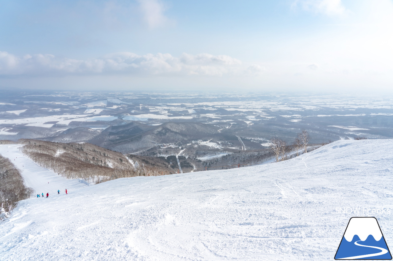 十勝サホロリゾート｜あの記録的な大雪から１週間…。ゲレンデのコンディションは、この上ないほど良好です(^^)v